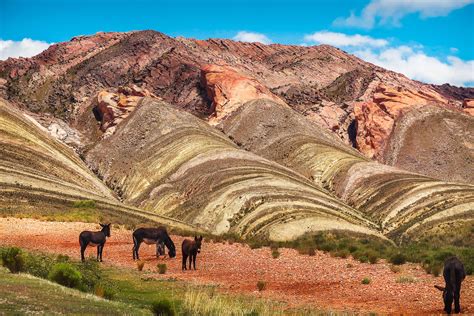 Quebrada De Humahuaca