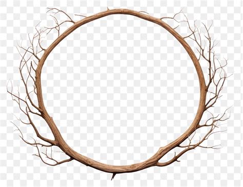 png tree branch circle wood premium png rawpixel