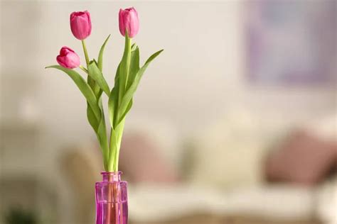 ⬇ Скачать картинки Tulipas cor de rosa e velas, стоковые фото Tulipas ...