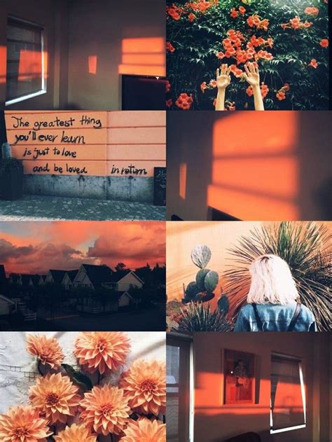 Aesthetic Roses, Orange Aesthetic, Aesthetic Drawing, Aesthetic Colors ...