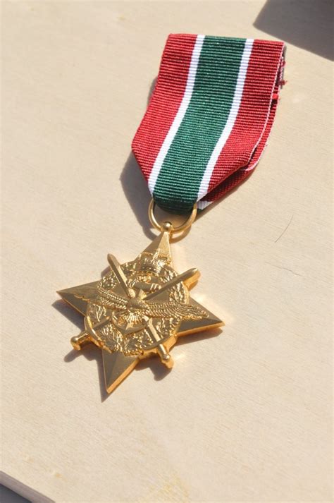 General Campaign Star medal awarded to Canadian soldiers in Afghanistan | Article | The United ...