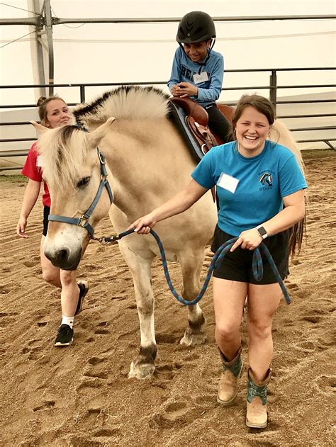 Moving Through Anger & Horses — Reinbows Inc