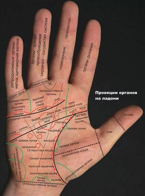 хиромантия бесплатная таблица с разъяснениями фото: 9 тыс изображений ...