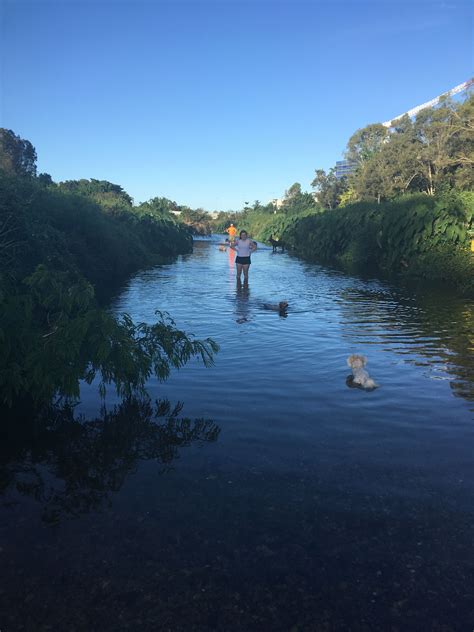 Kedron Brook on a summers day. Bliss | Outdoor, Beach, Summer