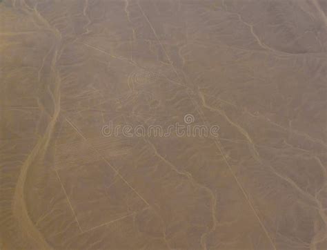 Aerial Airplane View of Nile River Valley in Egypt Stock Photo - Image ...