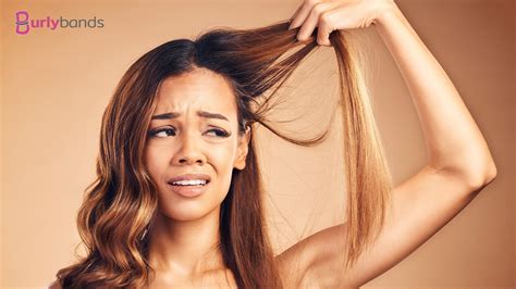 damaged hair burlybands
