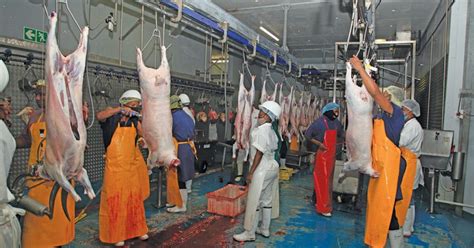 family owned abattoir   quest  achieve  waste