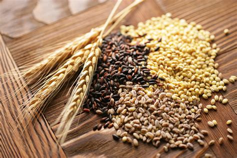 Healthy Grain Benefits at Whitley Llamas blog