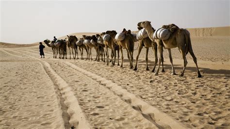 rupture entre le mnla  ansar dine au nord du mali
