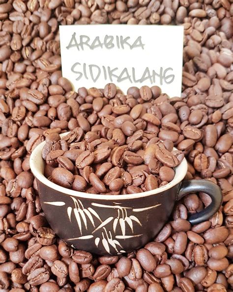kopi terbaik  provinsi sumatera utara