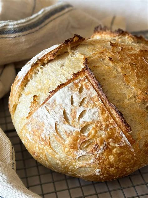 beginner sourdough bread recipe foragers  happiness