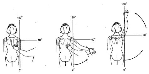 Range of Motion