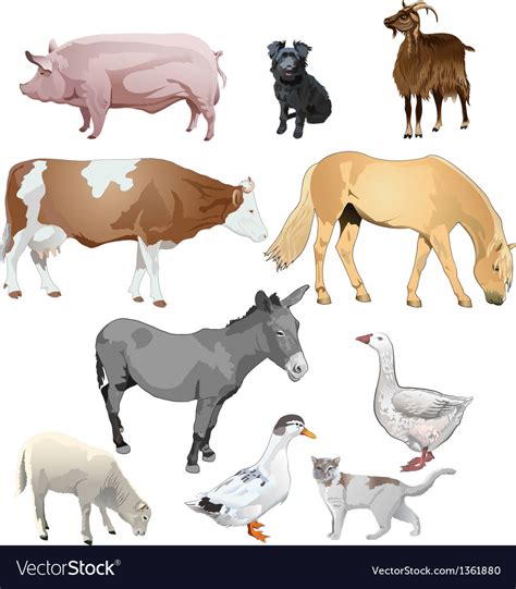 Farm animals Royalty Free Vector Image - VectorStock