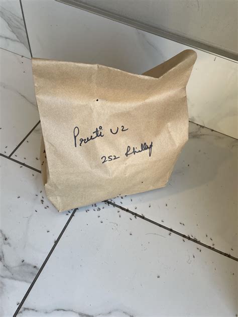 Generous students feeding ants from their own pockets! : r/uwaterloo