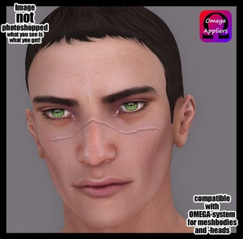 Second Life Marketplace - UNISEX Scar Bridge of Nose Omega