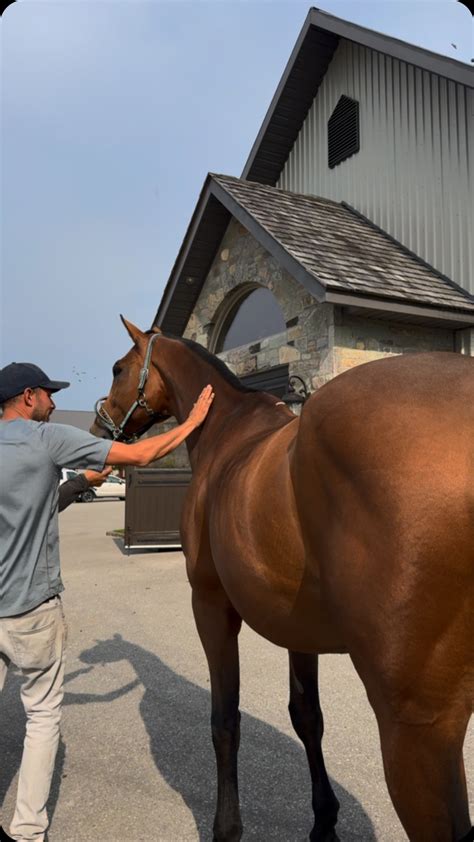 Sierra Cabots Horses (@sierracabot_equine) • Instagram photos and videos