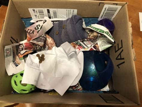 cognitive enrichment activities  dogs including clever dog enrichment toys
