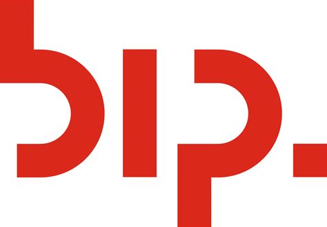 spinnaker program bip consulting