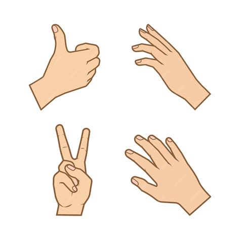 premium vector human hand