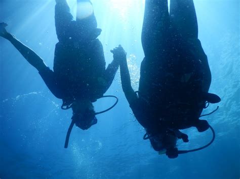 Free Images : extreme sport, freediving, egypt, sports, divers ...
