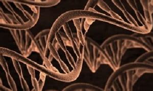 genetic juta medicalbrief