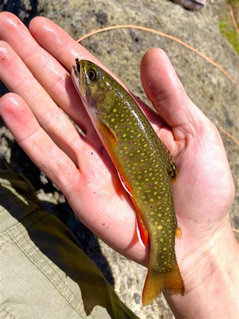 68 best Brookings Oregon images on Pholder | Earth Porn, Oregon and