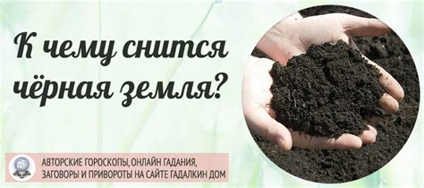 Сонник: чёрная земля