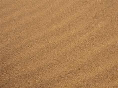 Sand Beach Baltic Sea Sandy - Free photo on Pixabay
