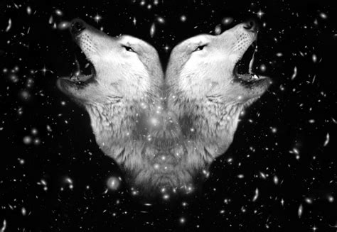 Two-Spirit | – The Link