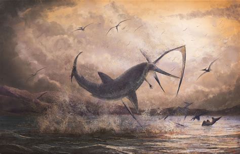 Fossil Friday, Shark Week Edition: The Ginsu Shark’s Flying Snack – Max ...