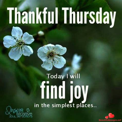 Download for free nice Good Morning Images and Pictures for you