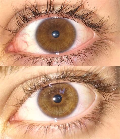 Hazel Brown Eye Color