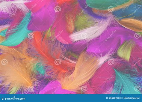 Colorful Feather Background Stock Photo - Image of brown, bright: 255282568