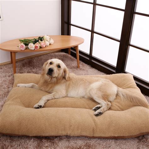 Caminha Para Cachorro Grande