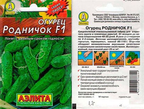 Огурец Родничок F1: описание, отзывы, фото, посадка и уход ...