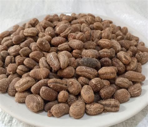 pebe en grain  epicam