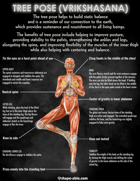 Vrkshasana tree yoga pose [INFOGRPAHIC]