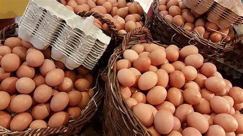 яйце, Великден, щанд за продажби, Холандия, картонена кутия за яйца ...
