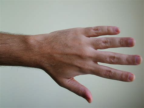 Body Hand - Free photo on Pixabay - Pixabay