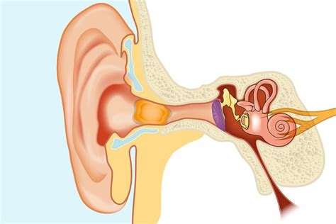 Ear Wax Removal — 2County Hearing