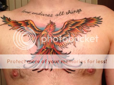 Phoenix Chest Piece - Tattoo Forum