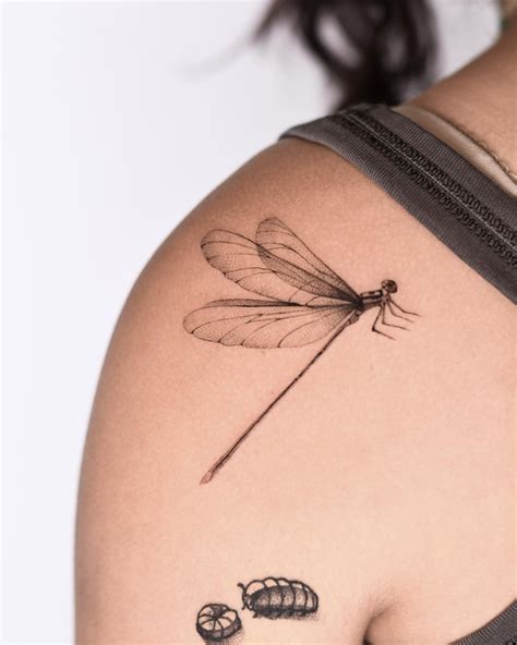 dragonfly tattoo design 8
