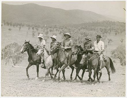 drover australian wikipedia