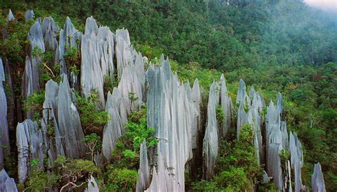 Fantastic+Merapu Adventures: Gunung Mulu National Park