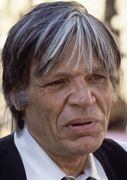 neville brand  mycast fan casting  favorite stories