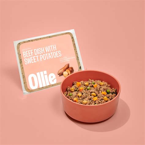 Ollie Dog Food Review 2024