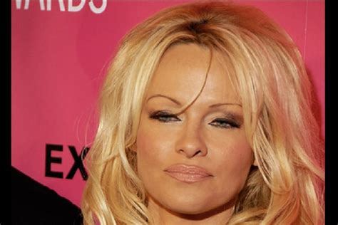 Pamela Anderson brands porn as public hazard