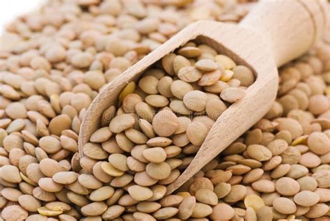 Lentil stock image. Image of lentil, vegetable, asian - 12460831
