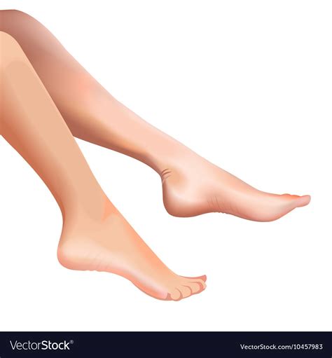 Female feet isolated Royalty Free Vector Image