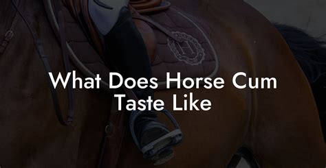 What Does Horse Cum Taste Like - How To Own a Horse